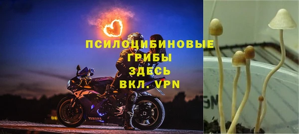 хмурый Козловка