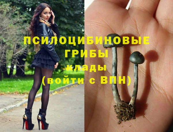 гидропоника Армянск