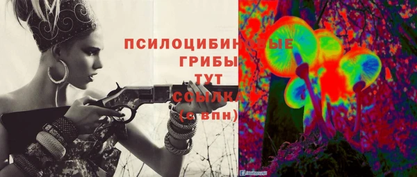 гидропоника Армянск