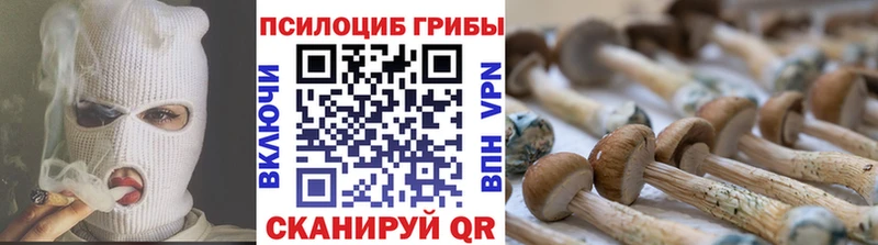 где купить наркоту Мамоново Псилоцибиновые грибы MAGIC MUSHROOMS